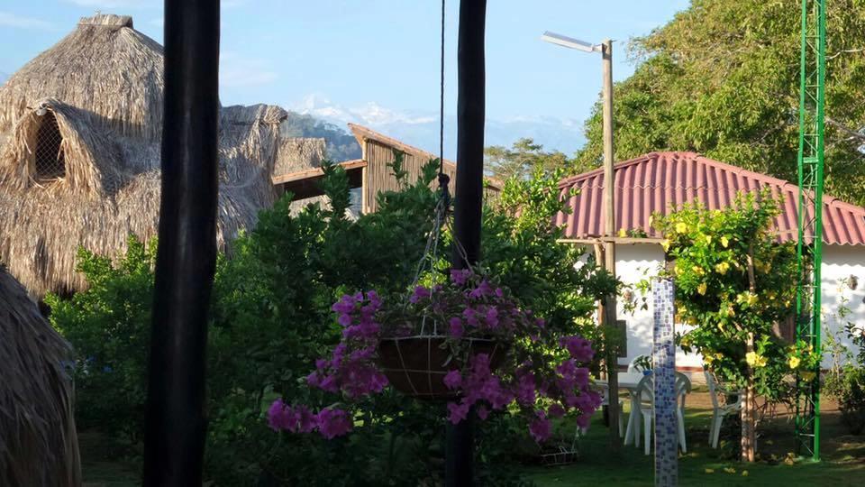 Palomino Breeze Hostal Luaran gambar